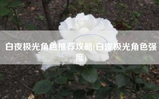 白夜极光角色推荐攻略(白夜极光角色强度)
