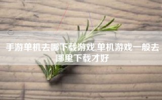 手游单机去哪下载游戏,单机游戏一般去哪里下载才好