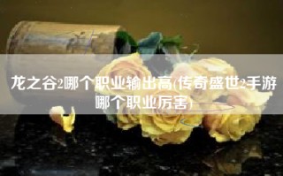 龙之谷2哪个职业输出高(传奇盛世2手游哪个职业厉害)