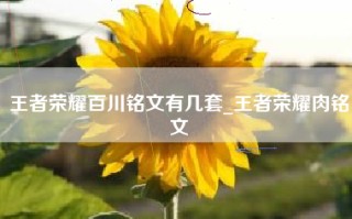 王者荣耀百川铭文有几套_王者荣耀肉铭文