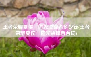 王者荣耀夏侯惇匿光决锋者多少钱(王者荣耀夏侯惇匿光决锋者台词)