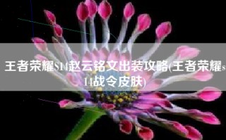 王者荣耀S14赵云铭文出装攻略(王者荣耀s14战令皮肤)