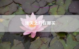 迷失之刃在哪买