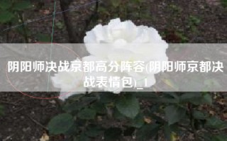 阴阳师决战京都高分阵容(阴阳师京都决战表情包)_1
