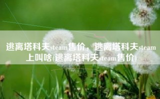逃离塔科夫steam售价，逃离塔科夫steam上叫啥(逃离塔科夫steam售价)
