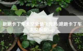跑跑卡丁车太空兔是飞宠吗(跑跑卡丁车太空蜿蜒bug)