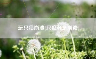 玩只狼崩溃(只狼老是崩溃)