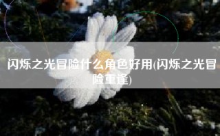 闪烁之光冒险什么角色好用(闪烁之光冒险重逢)