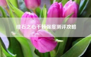 绯石之心千棘强度测评攻略