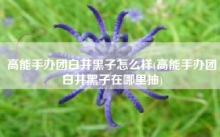 高能手办团白井黑子怎么样(高能手办团白井黑子在哪里抽)