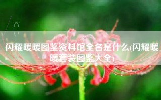 闪耀暖暖图鉴资料馆全名是什么(闪耀暖暖套装图鉴大全)