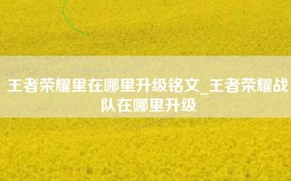 王者荣耀里在哪里升级铭文_王者荣耀战队在哪里升级