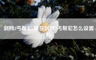 剑网3丐帮宏(现在剑网3丐帮宏怎么设置的)