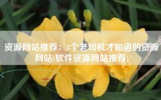 资源网站推荐：3个老司机才知道的资源网站(软件资源网站推荐)