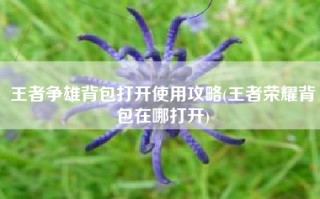王者争雄背包打开使用攻略(王者荣耀背包在哪打开)
