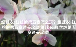 纸嫁衣4红丝缠第五章怎么玩？纸嫁衣4红丝缠第五章通关攻略(纸嫁衣4红丝缠第五章通关攻略)
