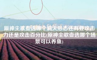 原神尘歌壶选哪个洞天形态还有要攻击力还是攻击百分比(原神尘歌壶选哪个场景可以养鱼)