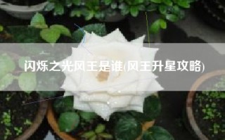 闪烁之光风王是谁(风王升星攻略)