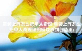 重装上阵怎么把单人奇观(重装上阵怎么把单人奇观里的模块放到创造里)