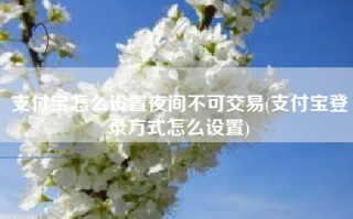 支付宝怎么设置夜间不可交易(支付宝登录方式怎么设置)