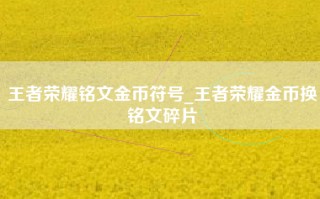 王者荣耀铭文金币符号_王者荣耀金币换铭文碎片