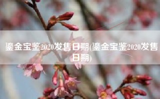 鎏金宝鉴2020发售日期(鎏金宝鉴2020发售日期)