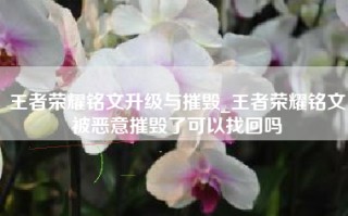 王者荣耀铭文升级与摧毁_王者荣耀铭文被恶意摧毁了可以找回吗