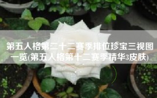 第五人格第二十二赛季排位珍宝三视图一览(第五人格第十二赛季精华3皮肤)