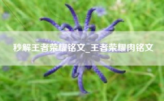 秒解王者荣耀铭文_王者荣耀肉铭文