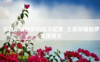 王者荣耀伽罗的铭文配置_王者荣耀伽罗攻速铭文