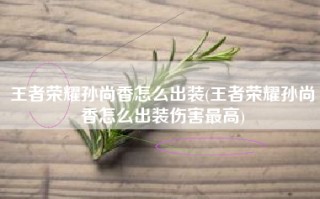 王者荣耀孙尚香怎么出装(王者荣耀孙尚香怎么出装伤害最高)