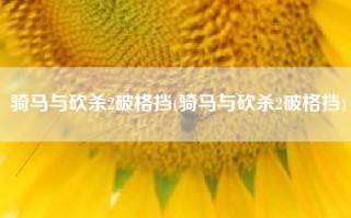 骑马与砍杀2破格挡(骑马与砍杀2破格挡)