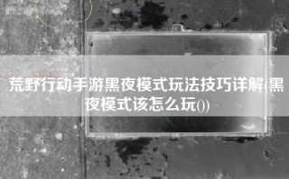 荒野行动手游黑夜模式玩法技巧详解(黑夜模式该怎么玩())