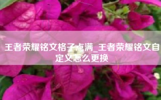 王者荣耀铭文格子点满_王者荣耀铭文自定义怎么更换