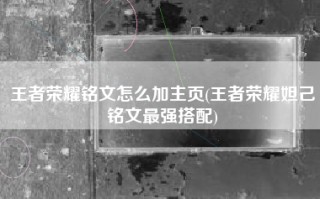 王者荣耀铭文怎么加主页(王者荣耀妲己铭文最强搭配)