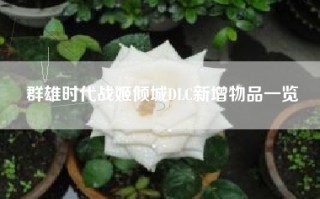 群雄时代战姬倾城DLC新增物品一览