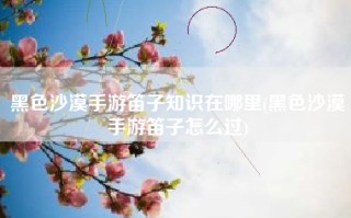 黑色沙漠手游笛子知识在哪里(黑色沙漠手游笛子怎么过)