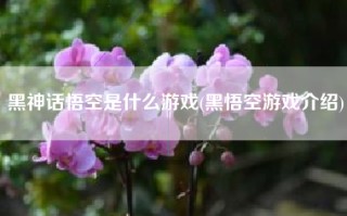 黑神话悟空是什么游戏(黑悟空游戏介绍)