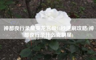 神都夜行录星葵龙宫级14秒速刷攻略(神都夜行录什么克制星)