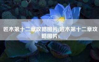 匠木第十二章攻略图片(匠木第十二章攻略图片)