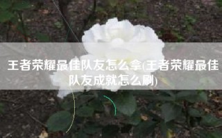 王者荣耀最佳队友怎么拿(王者荣耀最佳队友成就怎么刷)