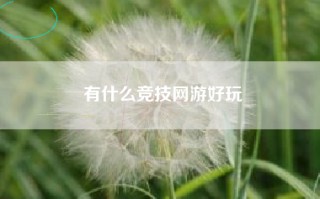 有什么竞技网游好玩