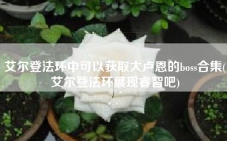 艾尔登法环中可以获取大卢恩的boss合集(艾尔登法环展现睿智吧)