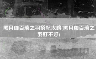 黑月珈百璃之羽搭配攻略(黑月珈百璃之羽好不好)