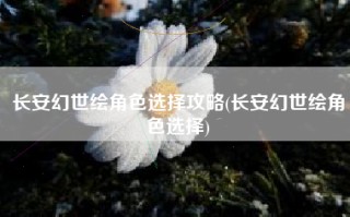 长安幻世绘角色选择攻略(长安幻世绘角色选择)