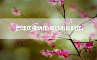街球庆祝动作(篮球街球动作)