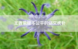 王者荣耀不公平的铭文虎扑