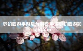 梦幻西游手游后台刷钱,手游梦幻西游如何刷金币