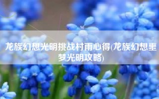 龙族幻想光明挑战村雨心得(龙族幻想噩梦光明攻略)