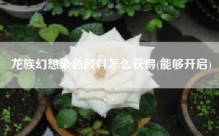 龙族幻想染色颜料怎么获得(能够开启)